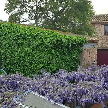 Gite L'occitane Casa de Férias *